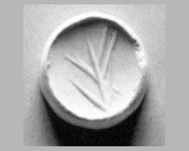 Stamp seal (scaraboid with pointed top) with plant