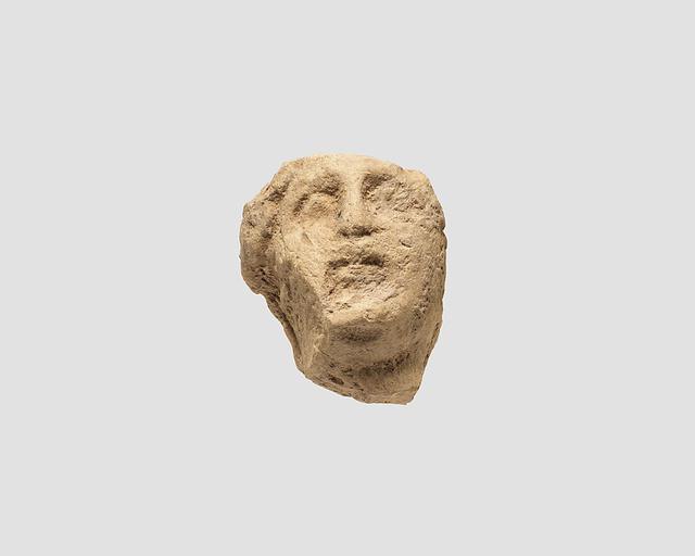 Fragment of head