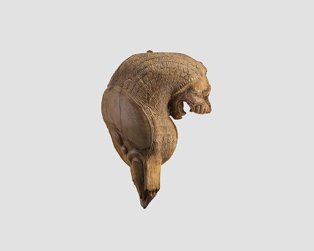 Head and foreleg of a snarling lion