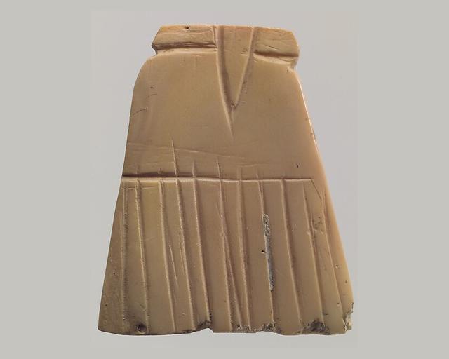 قطعة تطعيم