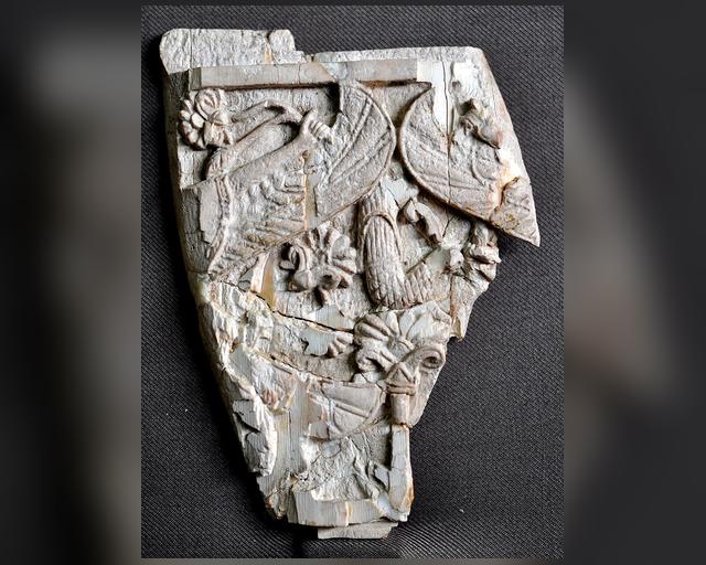 عاجی نەمرود: پیاوی باڵدار بە لۆتۆسەوە
