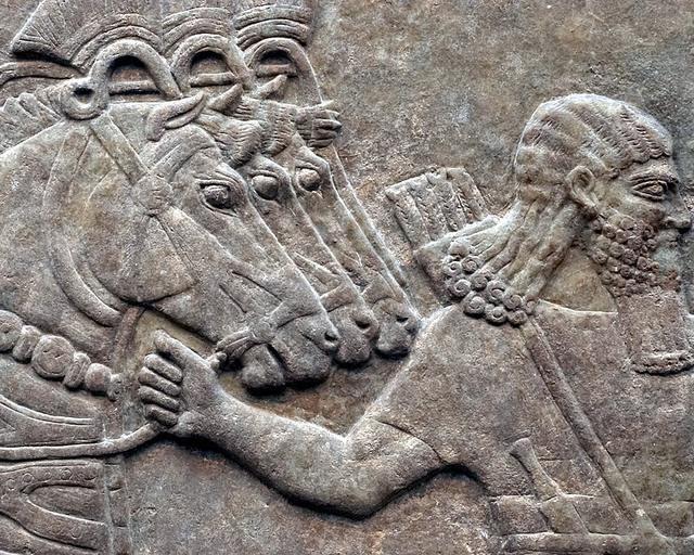 خيول من نقوش قصر نمرود